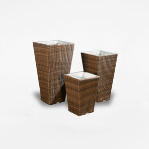 Case of the Giant Pygmy Case of the Giant Pygmy